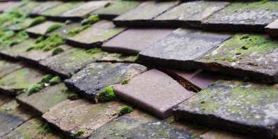 Woodley roof repair costs